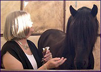 Dr. Elaine Maginn Sonne, PhD & "Alick"